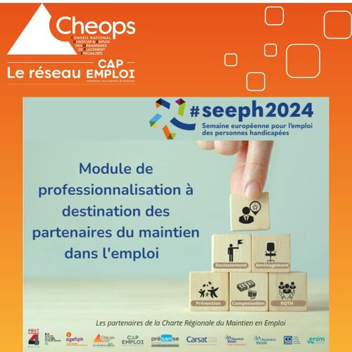 Cliquez pour agrandir l'image